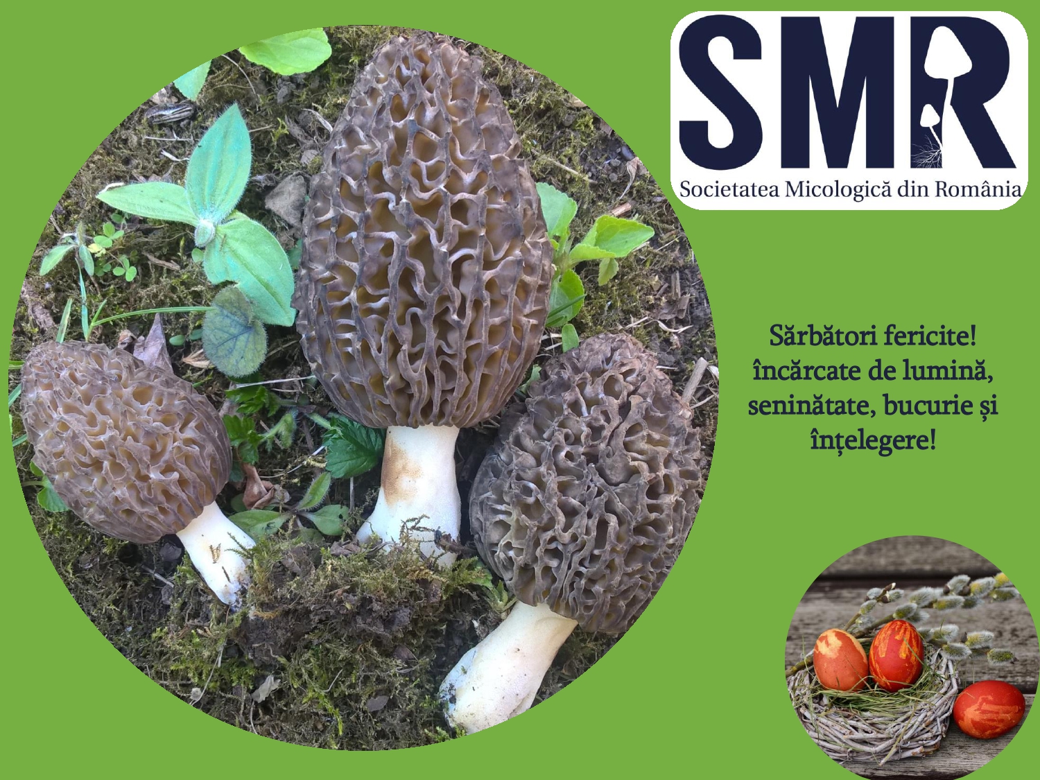 Sărbători fericite! Un Paște binecuvântat!